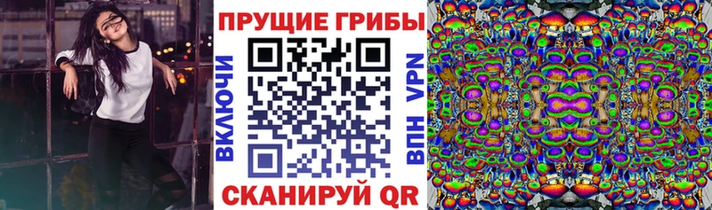 закладки  Амурск  Псилоцибиновые грибы Magic Shrooms 